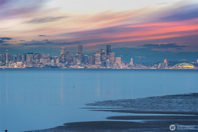 9788 Manitou Beach Dr NE, Bainbridge Island, WA 98110 - water view with a view of skyline