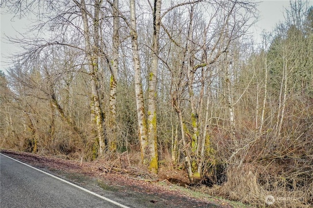 0 Reeder Rd SW, Tenino, WA 98589