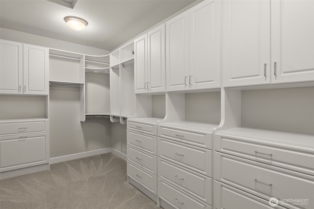 spacious closet featuring light carpet