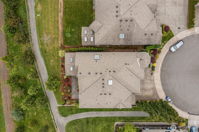 bird's eye view