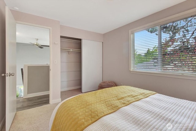 2711 NE 4th Ct, Renton, WA 98056 - bedroom featuring carpet, a closet, and baseboards