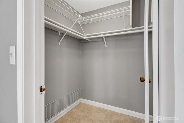 2711 NE 4th Ct, Renton, WA 98056 - walk in closet featuring carpet flooring