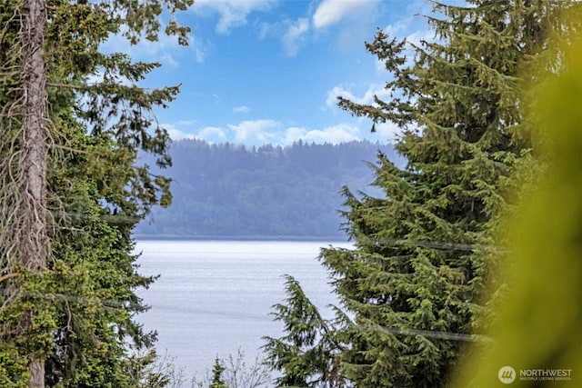 23319 11th Pl S, Des Moines, WA 98198 - photo 1