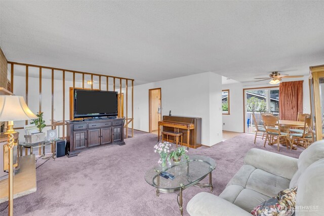 23319 11th Pl S, Des Moines, WA 98198 - photo 6