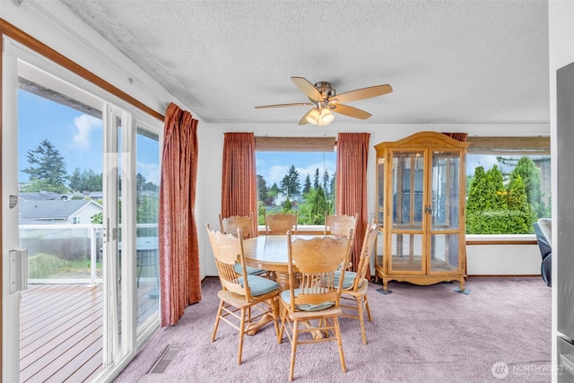 23319 11th Pl S, Des Moines, WA 98198 - photo 10