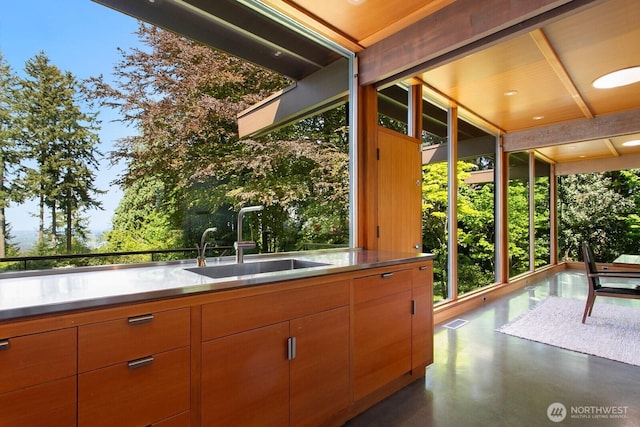 view of patio / terrace with a sink