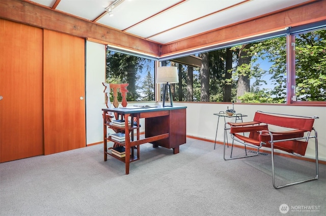 office featuring carpet flooring