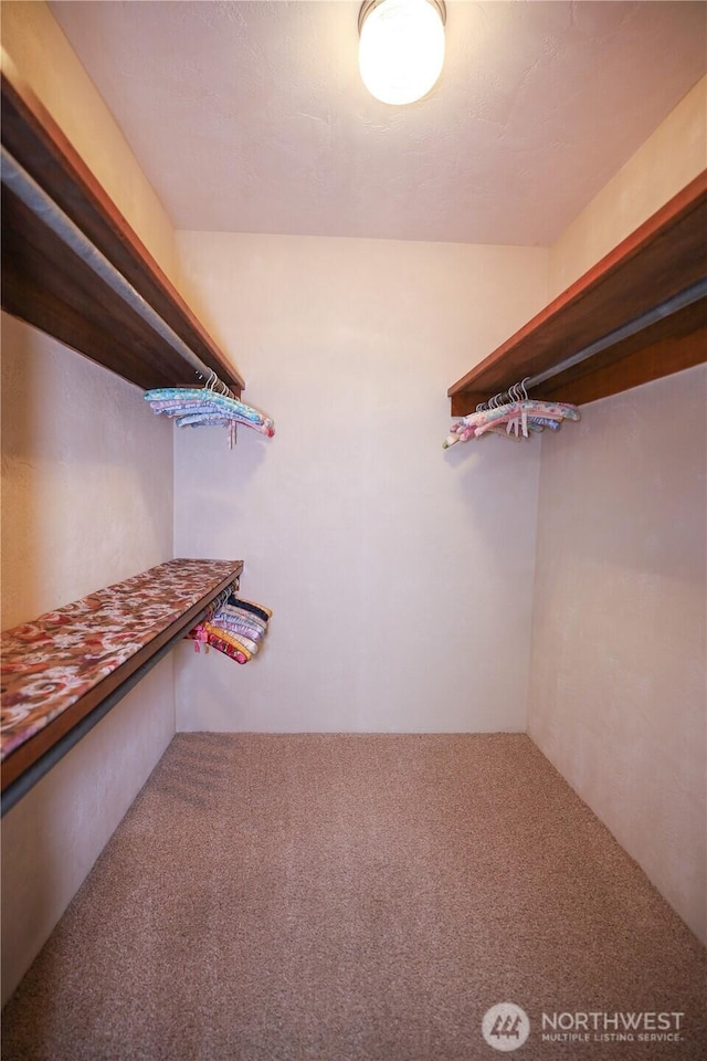 spacious closet with carpet flooring
