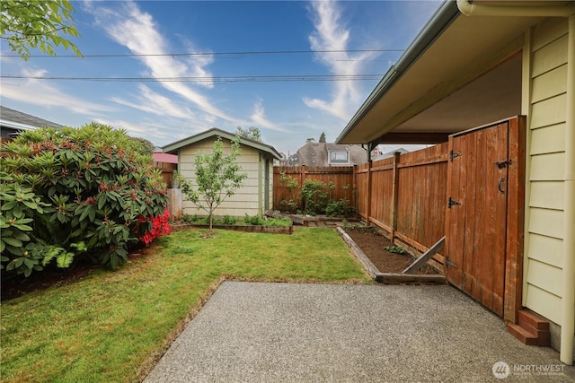 view of yard with a patio, an outdoor structure, and a storage shed