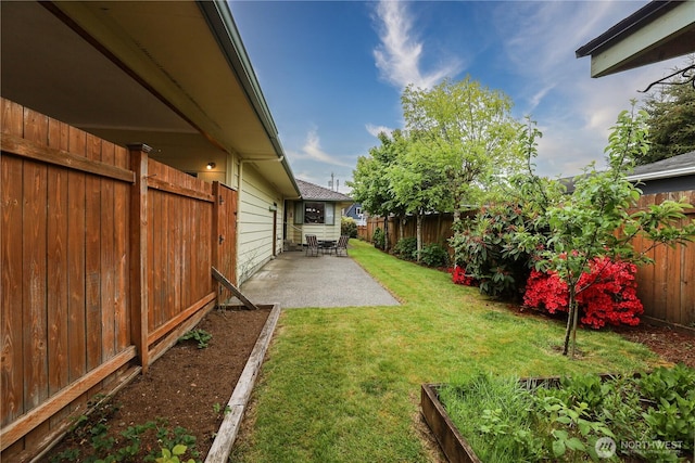 view of yard featuring a patio area