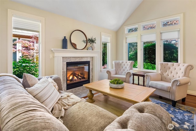 10316 NE 110th Cir, Vancouver, WA 98662 - living room with healthy amount of natural light, a high end fireplace, wood finished floors, and high vaulted ceiling