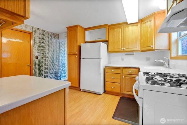 1420 S Verde St, Tacoma, WA 98405 - kitchen featuring white appliances, range hood, light wood-style floors, light countertops, and a sink