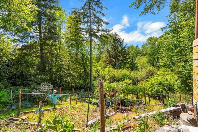 1420 S Verde St, Tacoma, WA 98405 - view of yard with a vegetable garden