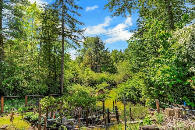 1420 S Verde St, Tacoma, WA 98405 - view of undeveloped land
