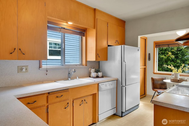 kitchen with white dishwasher, a sink, light countertops, and tasteful backsplash