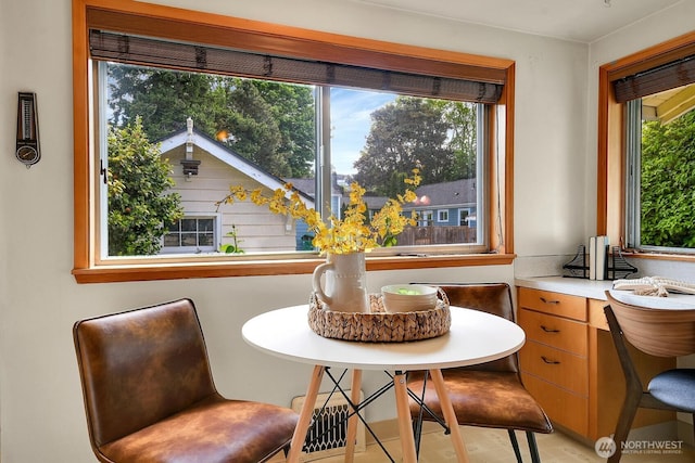 dining area with healthy amount of natural light
