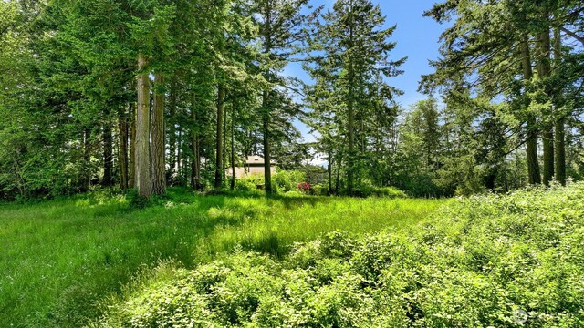 2093 Granger Way, Lummi Island, WA 98262