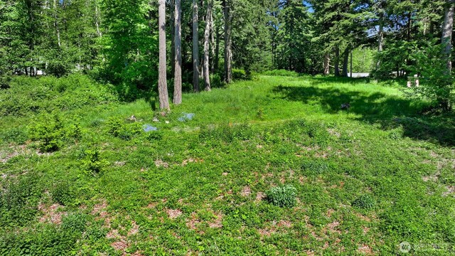 2093 Granger Way, Lummi Island, WA 98262