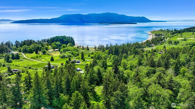2093 Granger Way, Lummi Island, WA 98262
