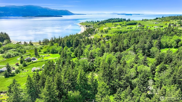 2093 Granger Way, Lummi Island, WA 98262
