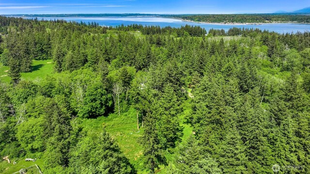 2093 Granger Way, Lummi Island, WA 98262