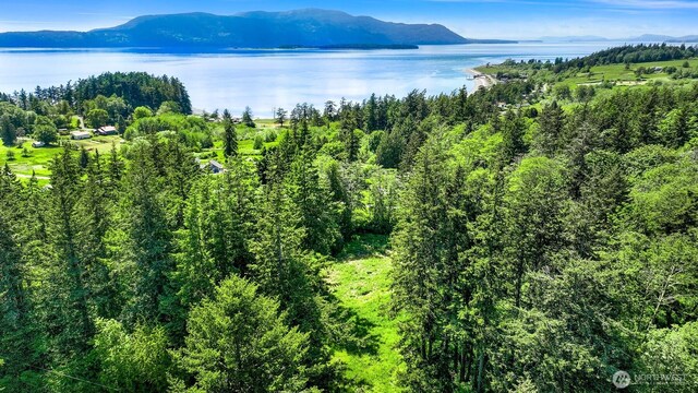 2093 Granger Way, Lummi Island, WA 98262