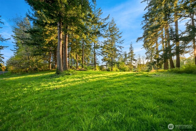 2093 Granger Way, Lummi Island, WA 98262