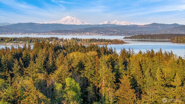 2093 Granger Way, Lummi Island, WA 98262