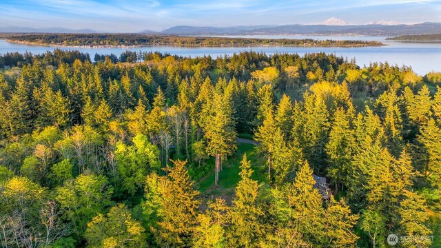 2093 Granger Way, Lummi Island, WA 98262