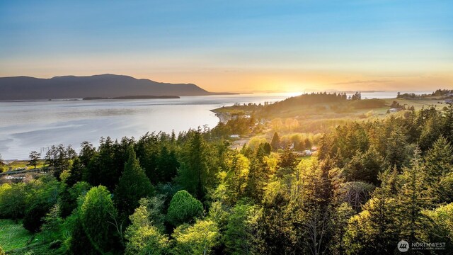 2093 Granger Way, Lummi Island, WA 98262