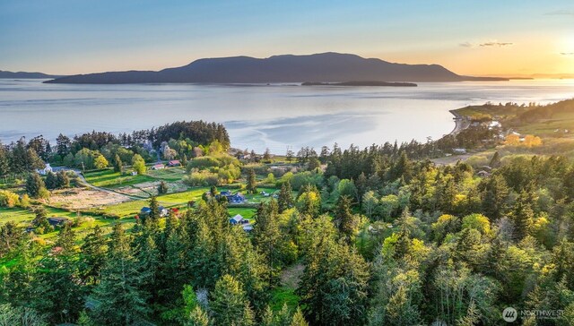 2093 Granger Way, Lummi Island, WA 98262