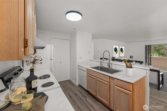 kitchen featuring dishwasher, a sink, a peninsula, light countertops, and wood finished floors