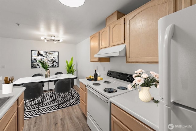 kitchen featuring white appliances, under cabinet range hood, wood finished floors, and light brown cabinetry