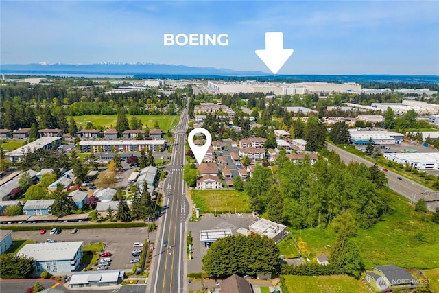drone / aerial view