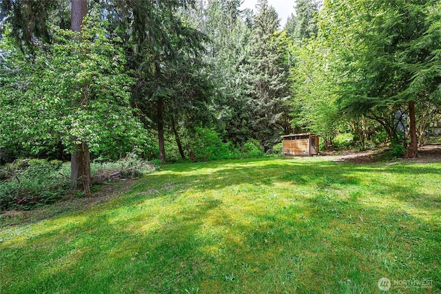 35717 321st St NE, Arlington, WA 98223 - view of grassy yard featuring a storage shed, an outbuilding, and a wooded view