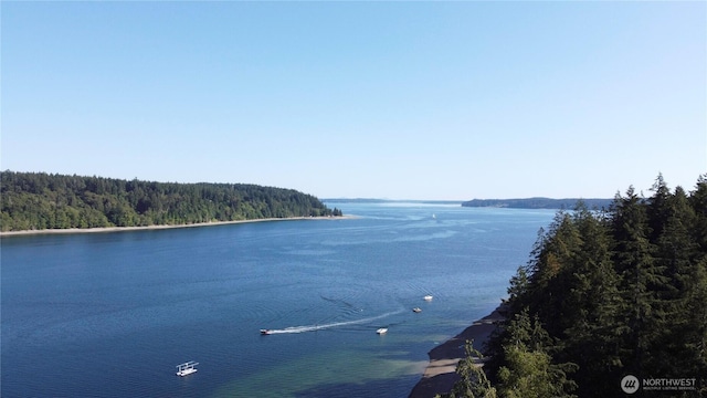 water view with a forest