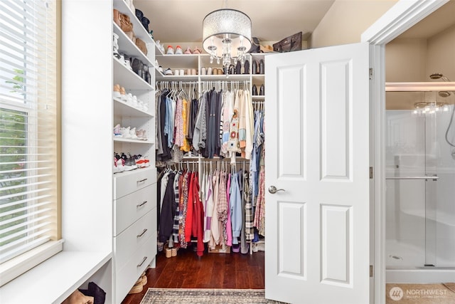 13708 Big Sky Dr E, Bonney Lake, WA 98391 - walk in closet with dark wood-style flooring and a chandelier