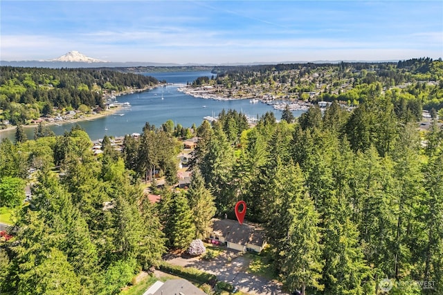 3912 Sutherland St, Gig Harbor, WA 98332 - aerial view of a nearby body of water and a forest