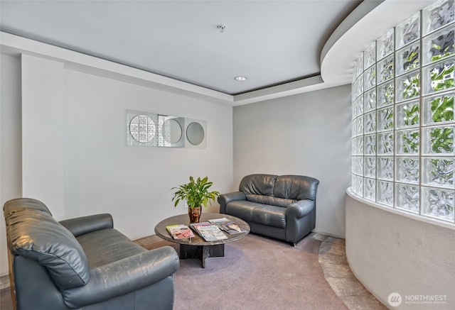 living room with carpet flooring and a tray ceiling