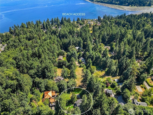 11021 Manitou Beach Dr NE, Bainbridge Island, WA 98110 - photo 35