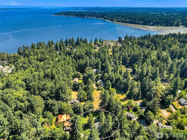 11021 Manitou Beach Dr NE, Bainbridge Island, WA 98110 - photo 37
