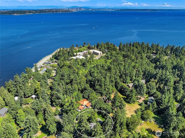 11021 Manitou Beach Dr NE, Bainbridge Island, WA 98110 - photo 36