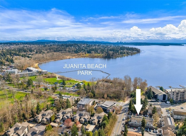 11717 93rd Ave NE Unit A7, Kirkland, WA 98034 - bird's eye view of a nearby body of water