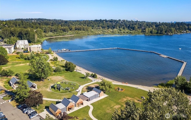 11717 93rd Ave NE Unit A7, Kirkland, WA 98034 - aerial view of a large body of water and a heavily wooded area