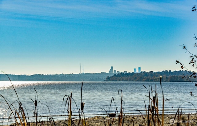 11717 93rd Ave NE Unit A7, Kirkland, WA 98034 - water view
