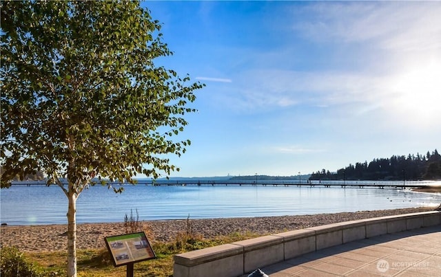11717 93rd Ave NE Unit A7, Kirkland, WA 98034 - water view