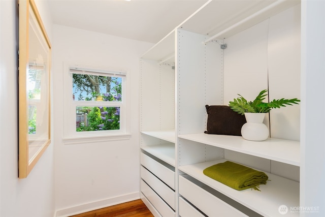 walk in closet with wood finished floors