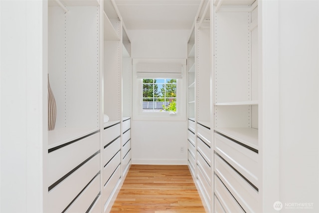 walk in closet featuring light wood-type flooring