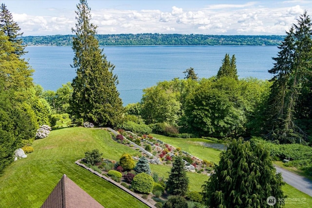7353 Cedar House Ct, Clinton, WA 98236 - water view