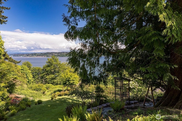 7353 Cedar House Ct, Clinton, WA 98236 - water view